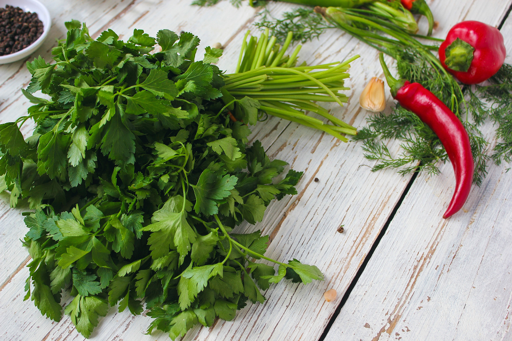 Comment utiliser le persil en cuisine pour ses recettes ?