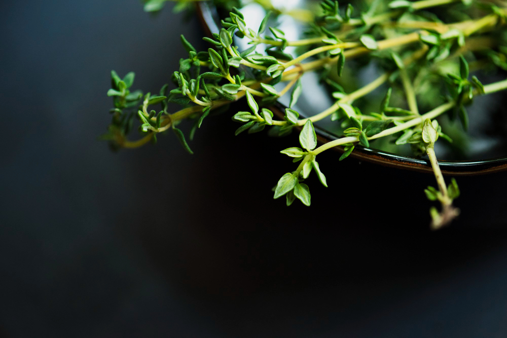 Comment intégrer le thym dans vos recettes de cuisine ?