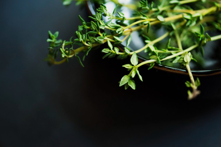 Comment intégrer le thym dans vos recettes de cuisine ? – Des beaux plats