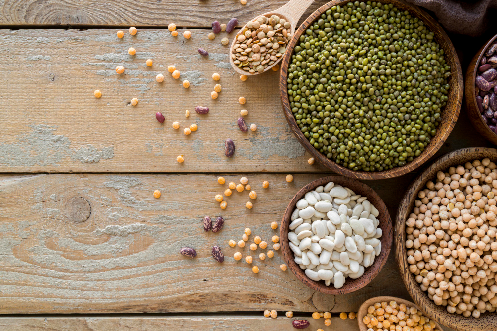Que sont les légumineuses et quelle utilisation en cuisine ?