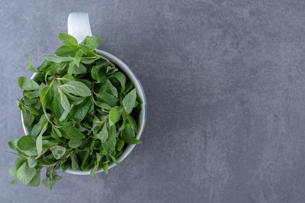 Comment utiliser la menthe en cuisine ?