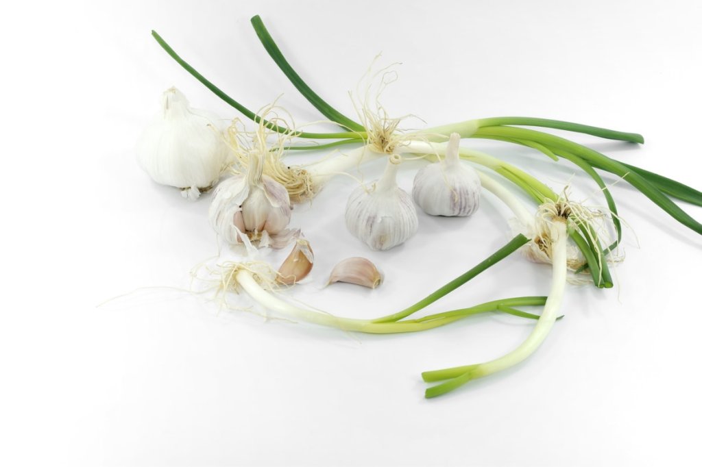 Dans quels plats utiliser la ciboulette en cuisine&nbsp;?